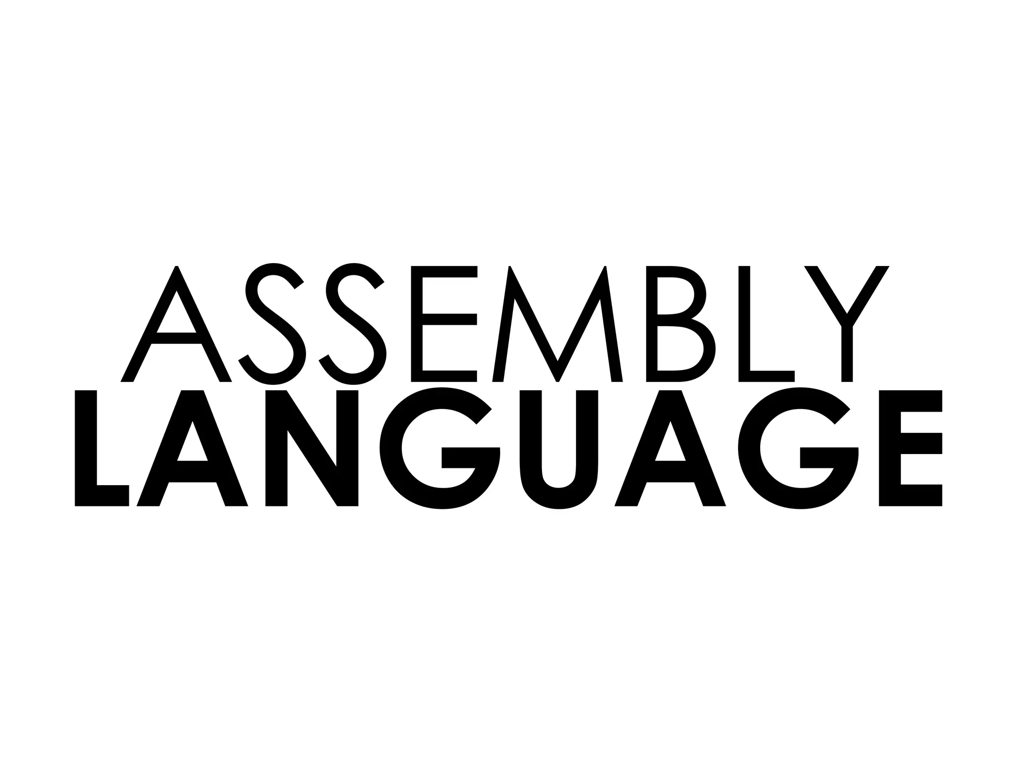 LANGUAGE
ASSEMBLY
 