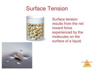 Intermolecular
Forces
Surface Tension
Surface tension
results from the net
inward force
experienced by the
molecules on the
surface of a liquid.
 