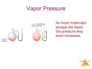 Intermolecular
Forces
Vapor Pressure
As more molecules
escape the liquid,
the pressure they
exert increases.
 