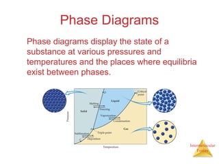 Intermolecular
Forces
Phase Diagrams
Phase diagrams display the state of a
substance at various pressures and
temperatures and the places where equilibria
exist between phases.
 