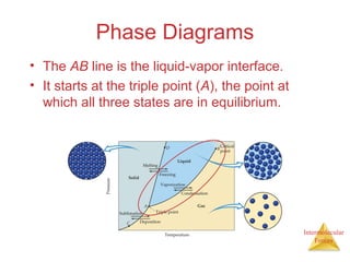 Intermolecular
Forces
Phase Diagrams
• The AB line is the liquid-vapor interface.
• It starts at the triple point (A), the point at
which all three states are in equilibrium.
 