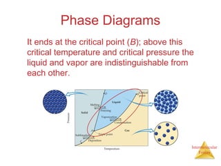Intermolecular
Forces
Phase Diagrams
It ends at the critical point (B); above this
critical temperature and critical pressure the
liquid and vapor are indistinguishable from
each other.
 