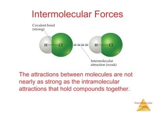 Intermolecular
Forces
Intermolecular Forces
The attractions between molecules are not
nearly as strong as the intramolecular
attractions that hold compounds together.
 