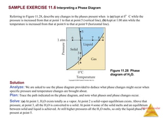 Intermolecular
Forces
SAMPLE EXERCISE 11.6 Interpreting a Phase Diagram
Referring to Figure 11.28, describe any changes in...