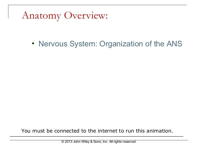 ch 14 autonomic system Written notes for the anatomy chapter on the peripheral nervous system 914, 915 peripheral nervous system - consists of the nerves that branch out from the cns and connect cell body -- preganglionic fiber (axon) leaves cns and synapses with neurons in the autonomic ganglion. ch 14 autonomic system Written notes for the anatomy chapter on the peripheral nervous system 914, 915 peripheral nervous system - consists of the nerves that branch out from the cns and connect cell body -- preganglionic fiber (axon) leaves cns and synapses with neurons in the autonomic ganglion.