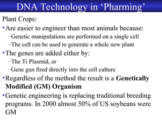 Chapter 11 BiotechnologyTechniques in practice | PPT