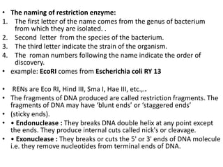 • The naming of restriction enzyme: 
1. The first letter of the name comes from the genus of bacterium 
from which they are isolated. . 
2. Second letter from the species of the bacterium. 
3. The third letter indicate the strain of the organism. 
4. The roman numbers following the name indicate the order of 
discovery. 
• example: EcoRI comes from Escherichia coli RY 13 
• RENs are Eco RI, Hind III, Sma I, Hae III, etc.,.. 
• The fragments of DNA produced are called restriction fragments. The 
fragments of DNA may have ‘blunt ends’ or ‘staggered ends’ 
• (sticky ends). 
• • Endonuclease : They breaks DNA double helix at any point except 
the ends. They produce internal cuts called nick's or cleavage. 
• • Exonuclease : They breaks or cuts the 5' or 3' ends of DNA molecule 
i.e. they remove nucleotides from terminal ends of DNA. 
 