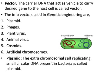 • Vector: The carrier DNA that act as vehicle to carry 
desired gene to the host cell is called vector. 
• The imp vectors used in Genetic engineering are, 
1. Plasmid. 
2. Phages. 
3. Plant virus. 
4. Animal virus. 
5. Cosmids. 
6. Artificial chromosomes. 
• Plasmid: The extra chromosomal self replicating 
small circular DNA present in bacteria is called 
plasmid. 
 