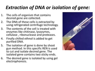 Extraction of DNA or isolation of gene: 
1. The cells of organism that contains 
desired gene are collected. 
2. The DNA of these cells is extracted by 
using refrigerated centrifuge technology. 
3. The contents of the cell is treated with 
enzymes like chitinase, lysozymes, 
cellulase , ribonuclease and proteases. 
4. Finally chilled ethnol is added to get 
purified DNA. 
5. The isolation of gene is done by shoot 
gun method. In this specific REN is used 
to cut and isolate desired gene. The 
isolated gene contains two sticky ends. 
6. The desired gene is isolated by using gel 
electrophoresis. 
 