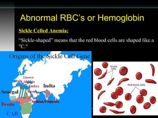 Abnormal RBC’s or Hemoglobin Sickle Celled Anemia: “ Sickle-shaped” means that the red blood cells are shaped like a "C."  