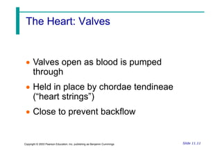 The Heart: Valves
The Heart: Valves
 Valves open as blood is pumped
through
Slide 11.11
Copyright © 2003 Pearson Education, Inc. publishing as Benjamin Cummings
 Held in place by chordae tendineae
(“heart strings”)
 Close to prevent backflow
 