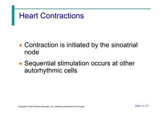 Heart Contractions
Heart Contractions
 Contraction is initiated by the sinoatrial
node
Slide 11.17
Copyright © 2003 Pearson Education, Inc. publishing as Benjamin Cummings
 Sequential stimulation occurs at other
autorhythmic cells
 