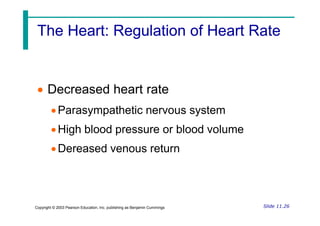 The Heart: Regulation of Heart Rate
The Heart: Regulation of Heart Rate
 Decreased heart rate
Parasympathetic nervous system
Slide 11.26
Copyright © 2003 Pearson Education, Inc. publishing as Benjamin Cummings
Parasympathetic nervous system
High blood pressure or blood volume
Dereased venous return
 