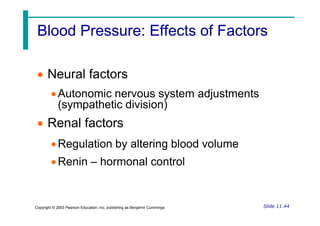 Blood Pressure: Effects of Factors
Blood Pressure: Effects of Factors
 Neural factors
Autonomic nervous system adjustments
(sympathetic division)
Slide 11.44
Copyright © 2003 Pearson Education, Inc. publishing as Benjamin Cummings
 Renal factors
Regulation by altering blood volume
Renin – hormonal control
 
