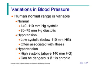 Variations in Blood Pressure
Variations in Blood Pressure
 Human normal range is variable
Normal
140–110 mm Hg systolic
80–75 mm Hg diastolic
Hypotension
Slide 11.47
Copyright © 2003 Pearson Education, Inc. publishing as Benjamin Cummings
Hypotension
Low systolic (below 110 mm HG)
Often associated with illness
Hypertension
High systolic (above 140 mm HG)
Can be dangerous if it is chronic
 