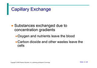 Capillary Exchange
Capillary Exchange
 Substances exchanged due to
concentration gradients

Slide 11.48
Copyright © 2003 Pearson Education, Inc. publishing as Benjamin Cummings
Oxygen and nutrients leave the blood
Carbon dioxide and other wastes leave the
cells
 