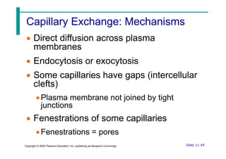 Capillary Exchange: Mechanisms
Capillary Exchange: Mechanisms
 Direct diffusion across plasma
membranes
 Endocytosis or exocytosis
 Some capillaries have gaps (intercellular
clefts)
Slide 11.49
Copyright © 2003 Pearson Education, Inc. publishing as Benjamin Cummings
 Some capillaries have gaps (intercellular
clefts)
Plasma membrane not joined by tight
junctions
 Fenestrations of some capillaries
Fenestrations = pores
 