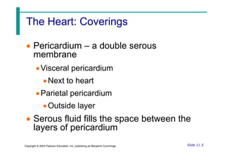 The Heart: Coverings
The Heart: Coverings
 Pericardium – a double serous
membrane
Visceral pericardium
Next to heart
Slide 11.5
Copyright © 2003 Pearson Education, Inc. publishing as Benjamin Cummings
Next to heart
Parietal pericardium
Outside layer
 Serous fluid fills the space between the
layers of pericardium
 