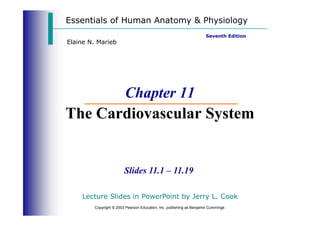 Essentials of Human Anatomy & Physiology
Seventh Edition
Elaine N. Marieb
Chapter 11
The Cardiovascular System
Copyright © 2003 Pearson Education, Inc. publishing as Benjamin Cummings
Slides 11.1 – 11.19
The Cardiovascular System
Lecture Slides in PowerPoint by Jerry L. Cook
 