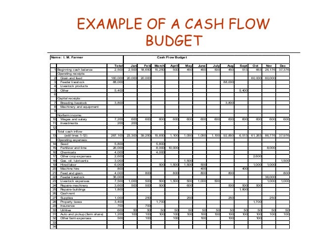 chapter 11 cash flow budgeting cash flow budget