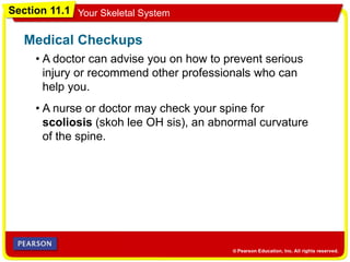 Section 11.1 Your Skeletal System
• A doctor can advise you on how to prevent serious
injury or recommend other professionals who can
help you.
Medical Checkups
• A nurse or doctor may check your spine for
scoliosis (skoh lee OH sis), an abnormal curvature
of the spine.
 