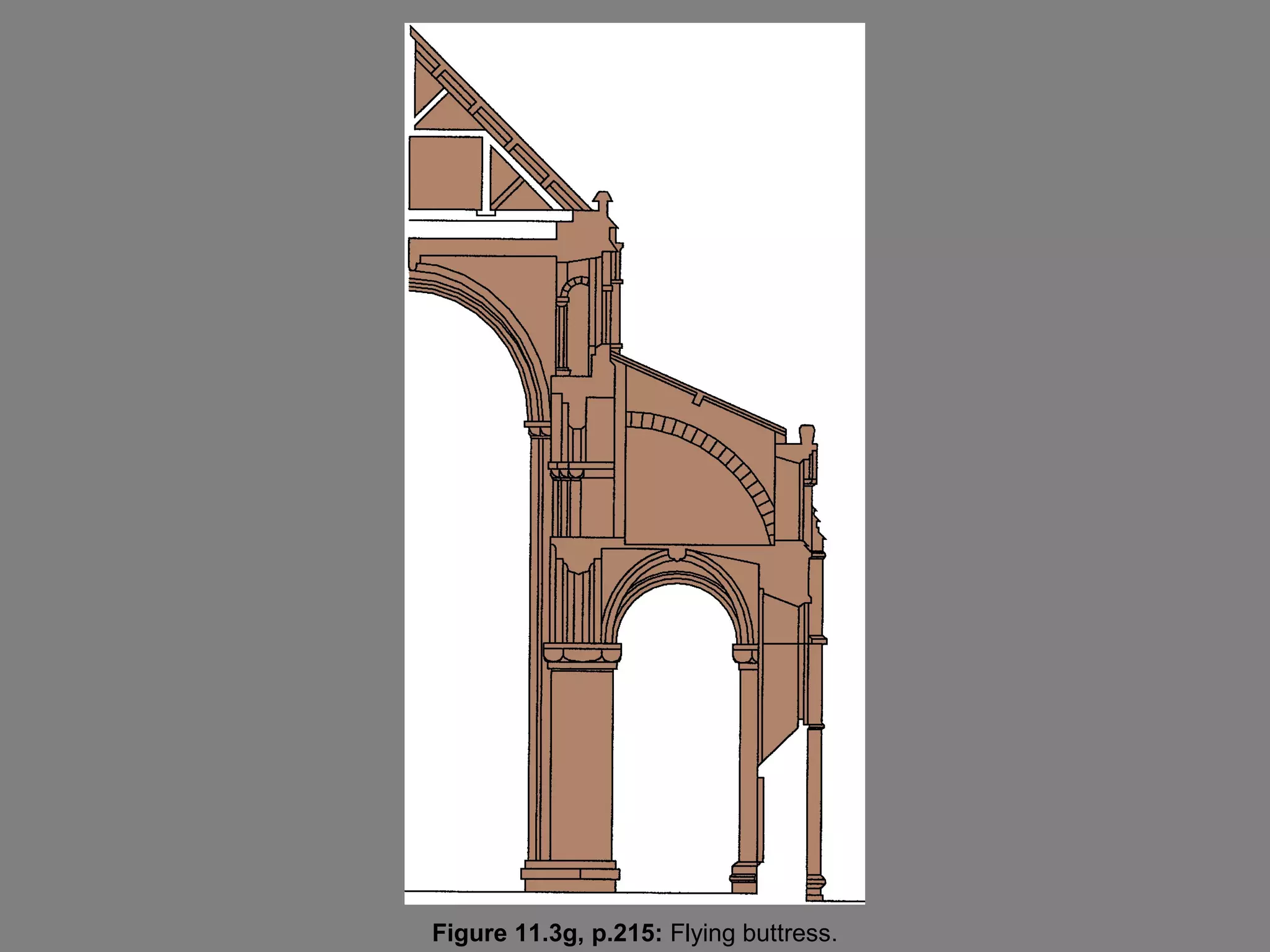 Figure 11.3g, p.215: Flying buttress.
 