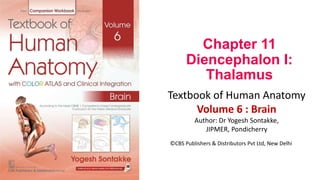 Chapter 11
Diencephalon I:
Thalamus
Textbook of Human Anatomy
Volume 6 : Brain
Author: Dr Yogesh Sontakke,
JIPMER, Pondicherry
©CBS Publishers & Distributors Pvt Ltd, New Delhi
 