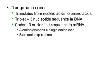 • The genetic code
   Translates from nucleic acids to amino acids
   Triplet – 3 nucleotide sequence in DNA
   Codon- 3 nucleotide sequence in mRNA
    • A codon encodes a single amino acid.
    • Start and stop codons
 