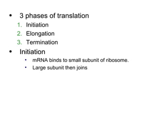 •   3 phases of translation
    1. Initiation
    2. Elongation
    3. Termination
•   Initiation
      •   mRNA binds to small subunit of ribosome.
      •   Large subunit then joins
 
