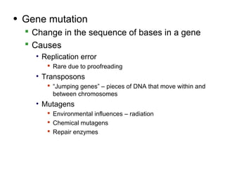 • Gene mutation
   Change in the sequence of bases in a gene
   Causes
    • Replication error
        Rare due to proofreading
    • Transposons
        “Jumping genes” – pieces of DNA that move within and
         between chromosomes
    • Mutagens
        Environmental influences – radiation
        Chemical mutagens
        Repair enzymes
 