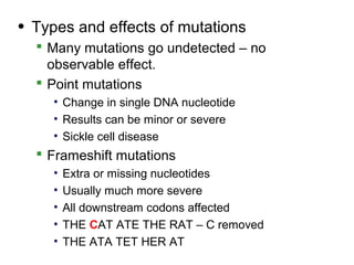 • Types and effects of mutations
   Many mutations go undetected – no
    observable effect.
   Point mutations
    • Change in single DNA nucleotide
    • Results can be minor or severe
    • Sickle cell disease
   Frameshift mutations
    •   Extra or missing nucleotides
    •   Usually much more severe
    •   All downstream codons affected
    •   THE CAT ATE THE RAT – C removed
    •   THE ATA TET HER AT
 
