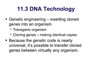 11.3 DNA Technology
• Genetic engineering – inserting cloned
  genes into an organism
   Transgenic organism
   Cloning genes – making identical copies
• Because the genetic code is nearly
  universal, it’s possible to transfer cloned
  genes between virtually any organism.
 