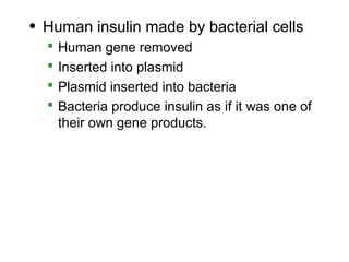 • Human insulin made by bacterial cells
     Human gene removed
     Inserted into plasmid
     Plasmid inserted into bacteria
     Bacteria produce insulin as if it was one of
      their own gene products.
 