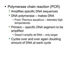 • Polymerase chain reaction (PCR)
   Amplifies specific DNA sequences
   DNA polymerase – makes DNA
    • From Thermus aquaticus – tolerates high
      temperatures
   Primers – specific DNA segment to be
    amplified
    • Doesn’t amplify all DNA – only target
   Cycles over and over again doubling
    amount of DNA at each cycle
 
