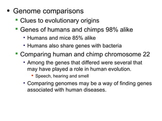 • Genome comparisons
   Clues to evolutionary origins
   Genes of humans and chimps 98% alike
    • Humans and mice 85% alike
    • Humans also share genes with bacteria
   Comparing human and chimp chromosome 22
    • Among the genes that differed were several that
      may have played a role in human evolution.
        Speech, hearing and smell
    • Comparing genomes may be a way of finding genes
      associated with human diseases.
 