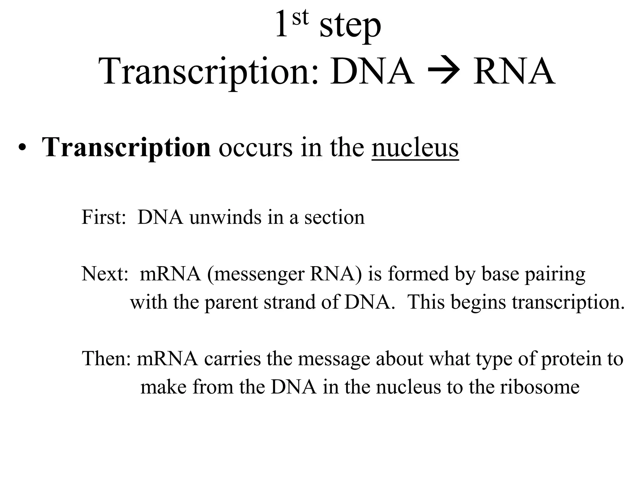 1st step
Transcription: DNA  RNA
• Transcription occurs in the nucleus
First: DNA unwinds in a section
Next: mRNA (messenger RNA) is formed by base pairing
with the parent strand of DNA. This begins transcription.
Then: mRNA carries the message about what type of protein to
make from the DNA in the nucleus to the ribosome
 