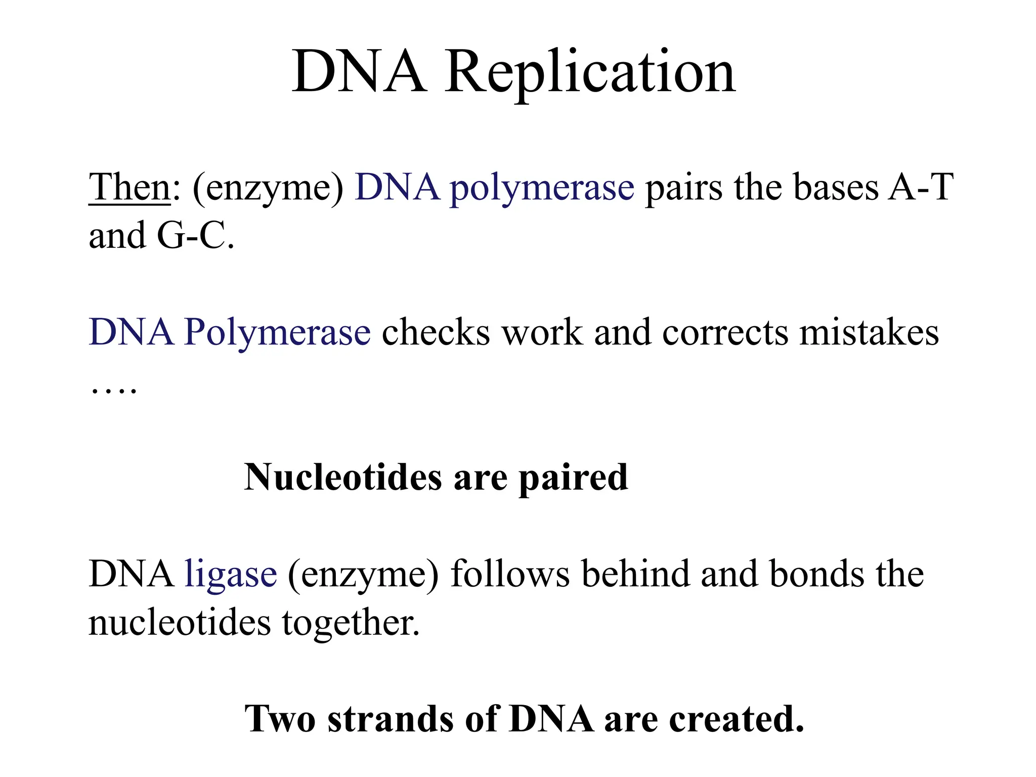 DNA Replication
Then: (enzyme) DNA polymerase pairs the bases A-T
and G-C.
DNA Polymerase checks work and corrects mistakes
….
Nucleotides are paired
DNA ligase (enzyme) follows behind and bonds the
nucleotides together.
Two strands of DNA are created.
 