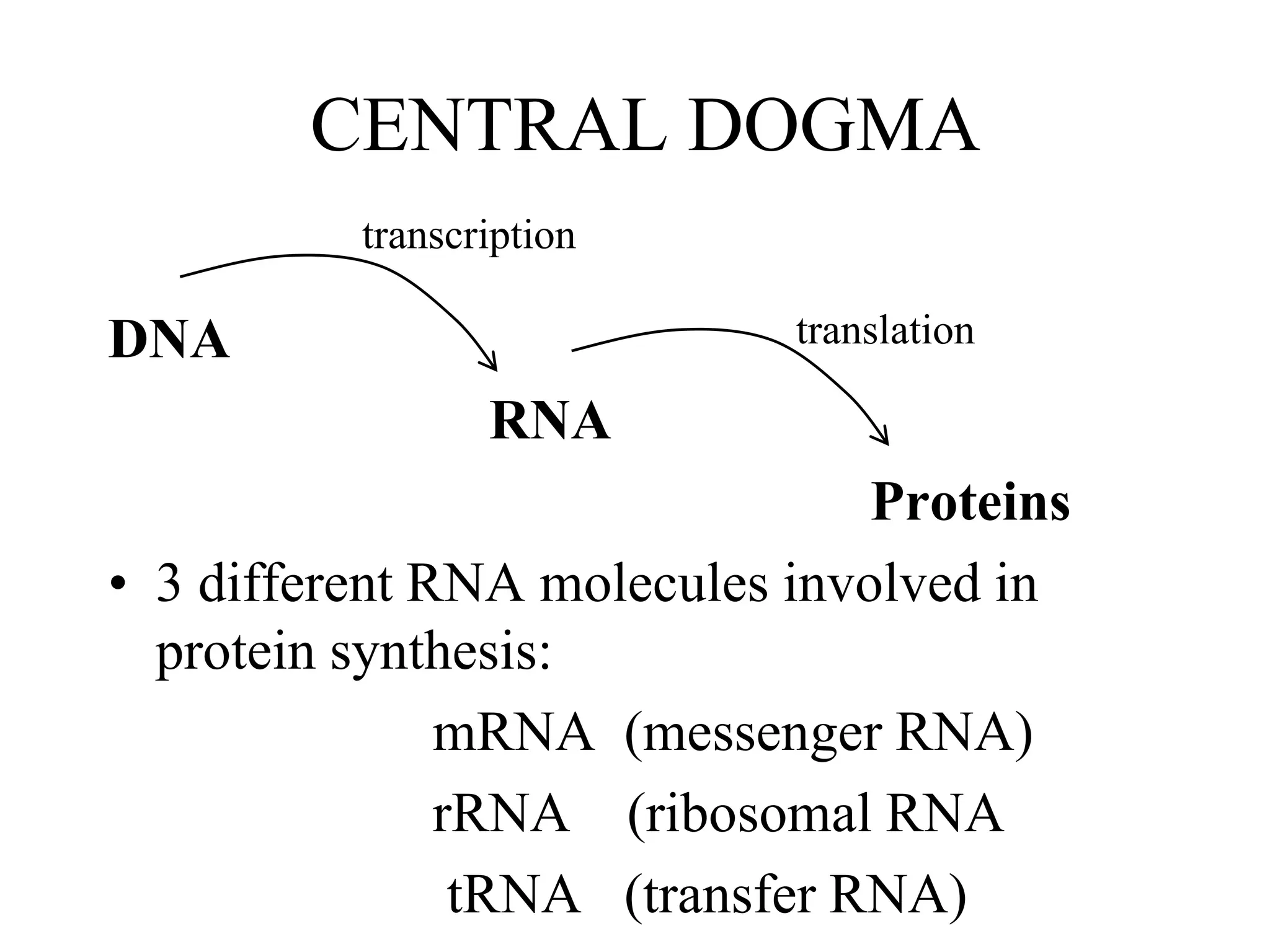 Chapter 11 DNA Structure and Replication RNA and Protien Synthesis 2017.ppt