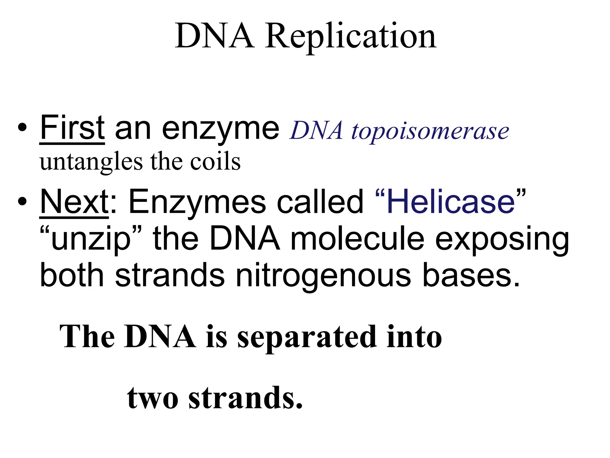 Chapter 11 DNA Structure and Replication RNA and Protien Synthesis 2017.ppt