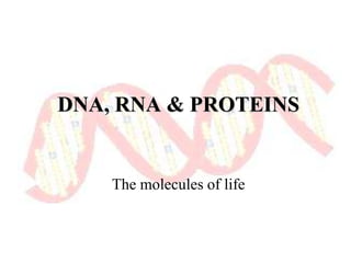 Chapter 11 DNA Structure and Replication RNA and Protien Synthesis 2017.ppt