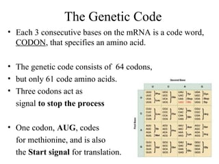 DNA Strucuture and Replication RNA and Protien Synthesis 2017.ppt