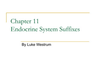 Chapter 11
Endocrine System Suffixes

    By Luke Westrum
 