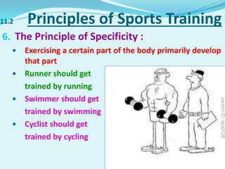 11.2 Principles of Sports Training
6. The Principle of Specificity :
 Exercising a certain part of the body primarily develop
that part
 Runner should get
trained by running
 Swimmer should get
trained by swimming
 Cyclist should get
trained by cycling
 