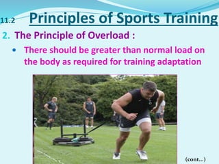 11.2 Principles of Sports Training
2. The Principle of Overload :
 There should be greater than normal load on
the body as required for training adaptation
2. (cont...)
 