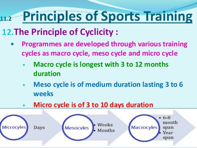 Chapter 11 Training In Sports
