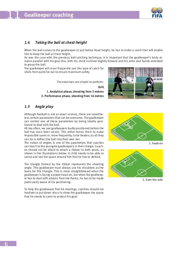 Chapter 11 Goalkeeping