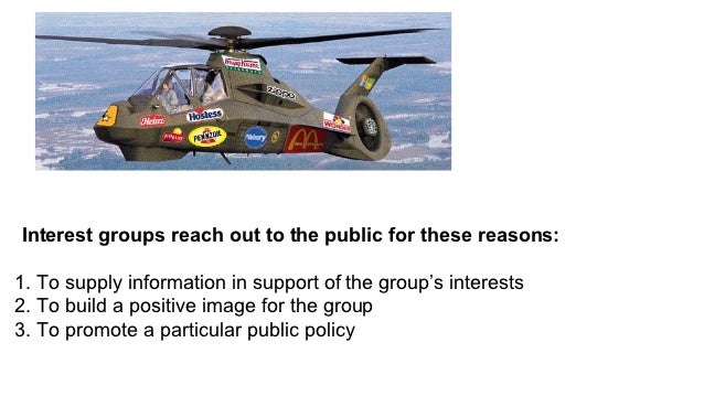 Political interest groups essay