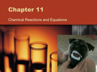 Chapter 11
Chemical Reactions and Equations

 