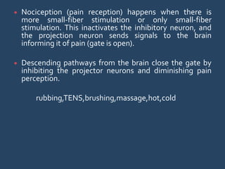 Nociception (pain reception) happens when there is
more small-fiber stimulation or only small-fiber
stimulation. This inactivates the inhibitory neuron, and
the projection neuron sends signals to the brain
informing it of pain (gate is open).
 Descending pathways from the brain close the gate by
inhibiting the projector neurons and diminishing pain
perception.
rubbing,TENS,brushing,massage,hot,cold
 
