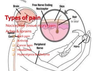 Nociceptive (tissue injury) pain:
Aches & sprains
 Back pain
 Arthritis
 Cancer pain
 Headaches
 Hyperalgesia & allodynia
 
